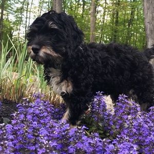 Meet your Posher, Marissa